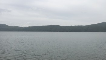 Dolphin Beach
