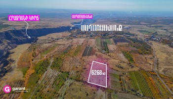 მიწის ნაკვეთი, არაგაწოტნის რეგიონი, საგმოსავანი, 6 268 კვ.მ მიწის ნაკვეთი, არაგაწოტნის რეგიონი, საგმოსავანი, 6 268 კვ.მ