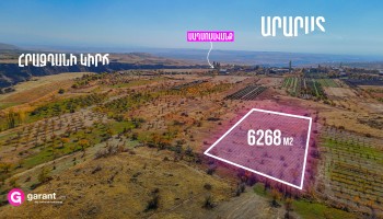 მიწის ნაკვეთი, არაგაწოტნის რეგიონი, საგმოსავანი, 6 268 კვ.მ მიწის ნაკვეთი, არაგაწოტნის რეგიონი, საგმოსავანი, 6 268 კვ.მ