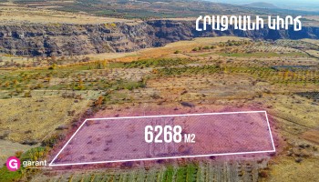 მიწის ნაკვეთი, არაგაწოტნის რეგიონი, საგმოსავანი, 6 268 კვ.მ მიწის ნაკვეთი, არაგაწოტნის რეგიონი, საგმოსავანი, 6 268 კვ.მ