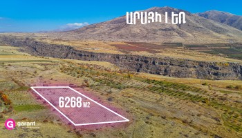 მიწის ნაკვეთი, არაგაწოტნის რეგიონი, საგმოსავანი, 6 268 კვ.მ მიწის ნაკვეთი, არაგაწოტნის რეგიონი, საგმოსავანი, 6 268 კვ.მ