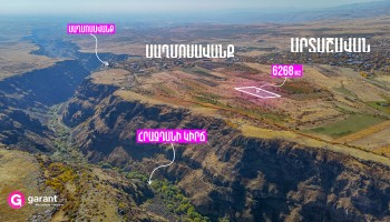 მიწის ნაკვეთი, არაგაწოტნის რეგიონი, საგმოსავანი, 6 268 კვ.მ მიწის ნაკვეთი, არაგაწოტნის რეგიონი, საგმოსავანი, 6 268 კვ.მ