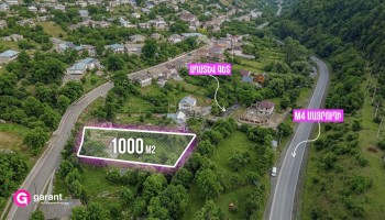 მიწის ნაკვეთი, ტავუშის რეგიონი, თეღუთი, 1000 კვ.მ