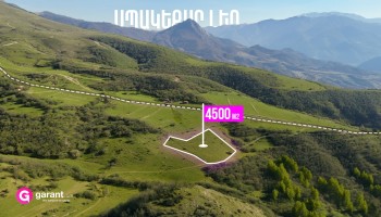 მიწის ნაკვეთი, ტავუშის მხარე, ჰაღარცინი, 4500 კვ.მ.
