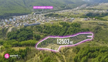 Հողատարածք, Տավուշի մարզ, ք․ Դիլիջան, 12503 ք․մ