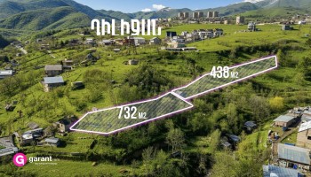 Հողատարածքներ, Տավուշի մարզ, ք․ Դիլիջան, 732 ք․մ, 438 ք․մ