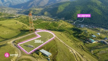 Հողատարածք, Տավուշի մարզ, Թեղուտ, 3866 ք․մ