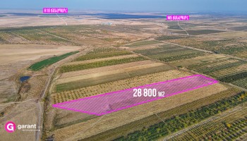 მიწის ნაკვეთი, არმავირის რეგიონი, ვანანდის კომუნა, 28,800 კვ.მ