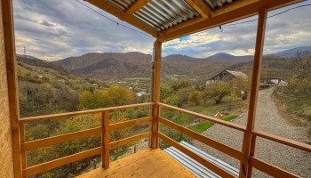 Forest Panorama Forest Panorama