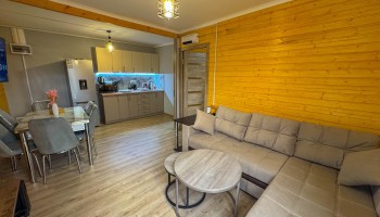 Forest Panorama Forest Panorama