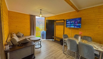 Forest Panorama Forest Panorama