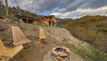 Forest Panorama Forest Panorama