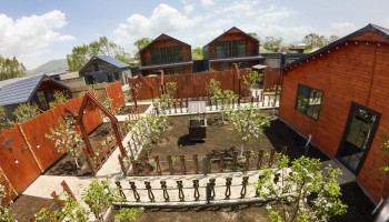 Blossom Yard