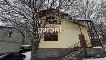 Forest Yellow - Tsaghkadzor Garden House