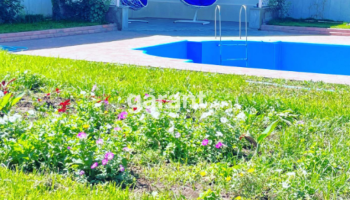 Summer - Pool and Garden